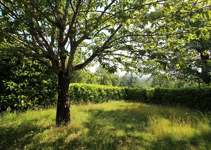 Apartment La Mesange Bleue *